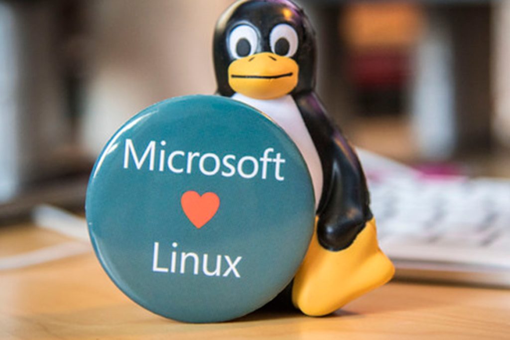 Linux proteção microsoft