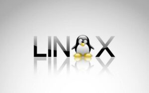 As 7 melhores distros Linux para iniciantes Linux