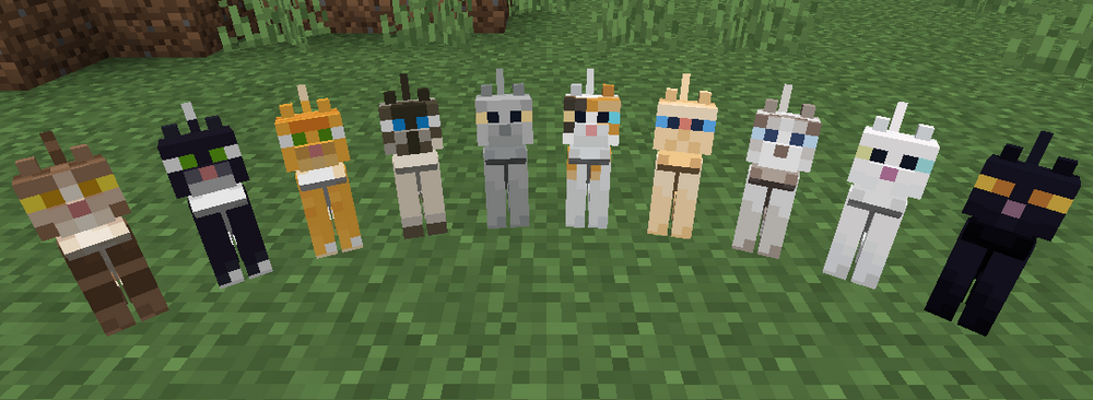 gato minecraft
