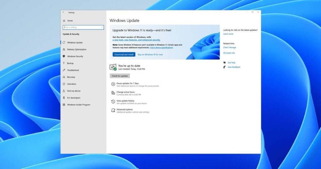 Windows 11 release rollout