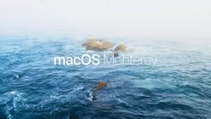 MacOS Monterey
